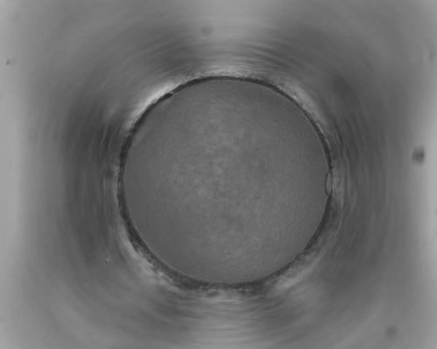 X0000090500434200707280004