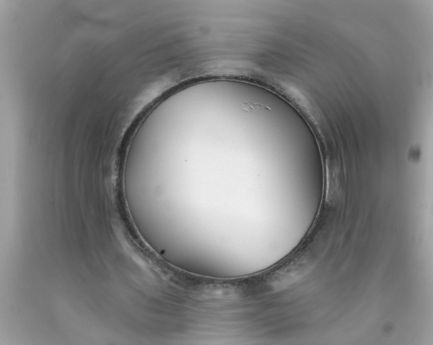 X0000090500435200707280004