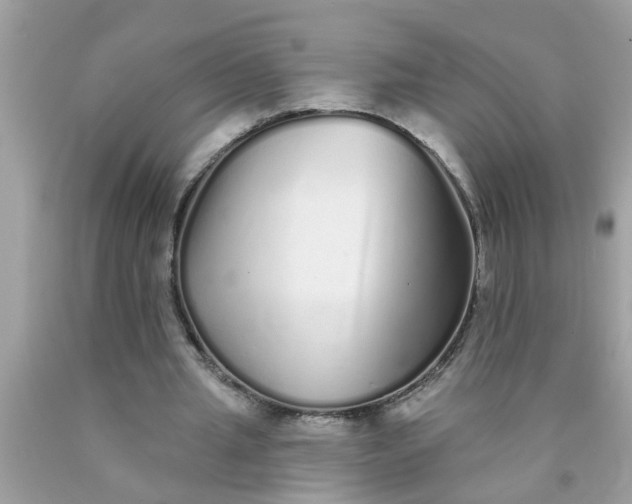 X0000090500437200707280004