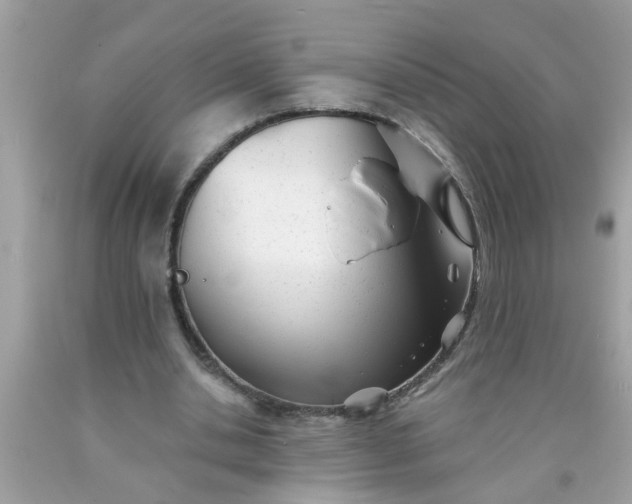 X0000090500438200707280004