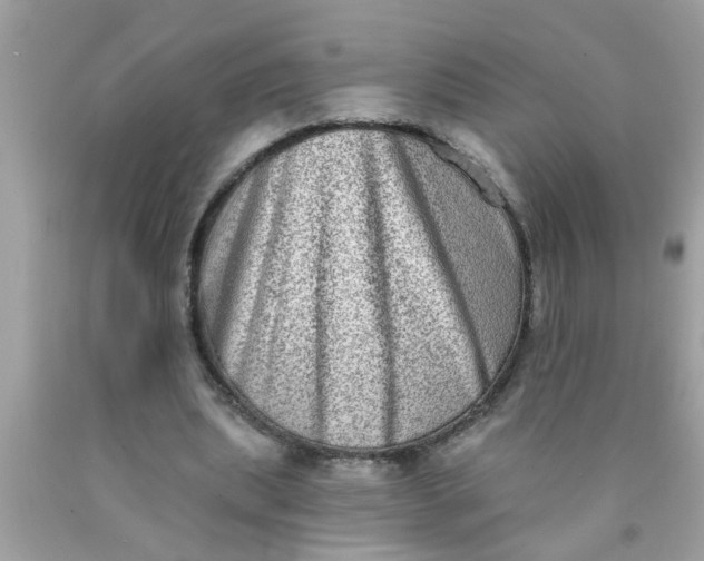 X0000090500439200707280004