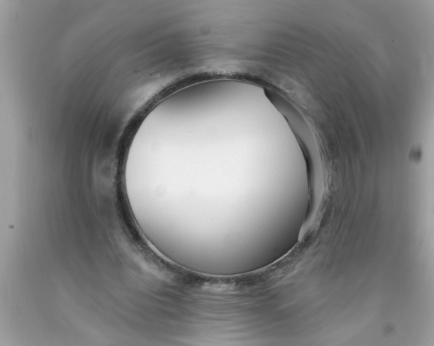 X0000090500440200707280004