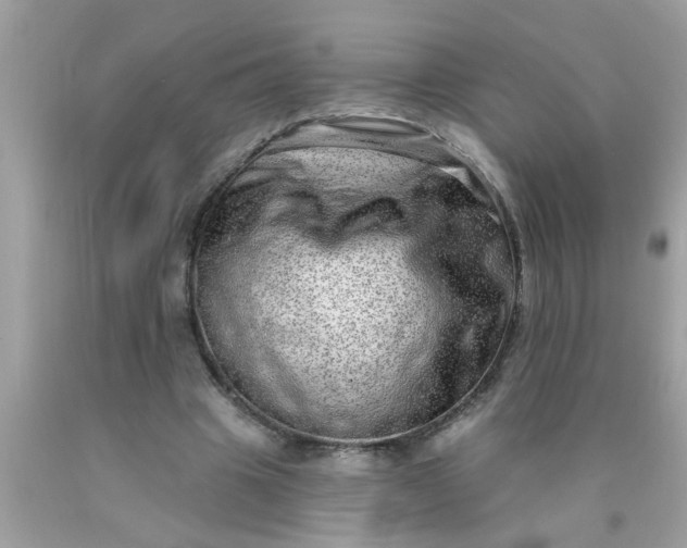 X0000090500441200707280004