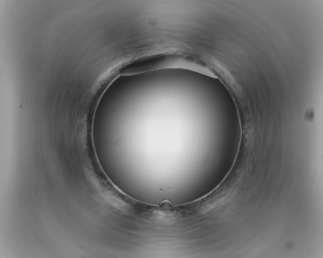 X0000090500442200707280004