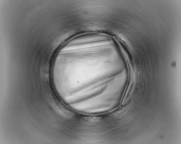 X0000090500443200707280004