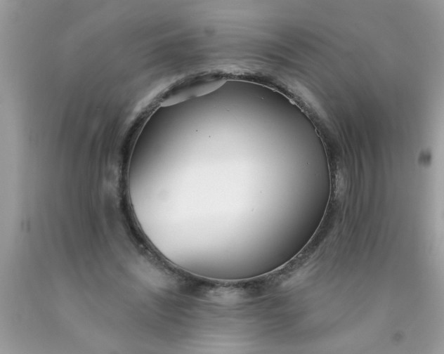 X0000090500444200707280004