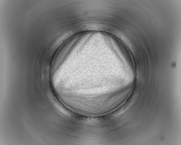 X0000090500445200707280004