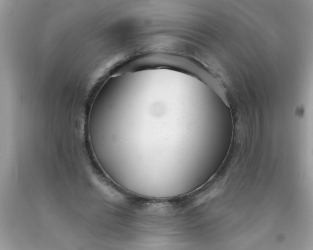 X0000090500446200707280005