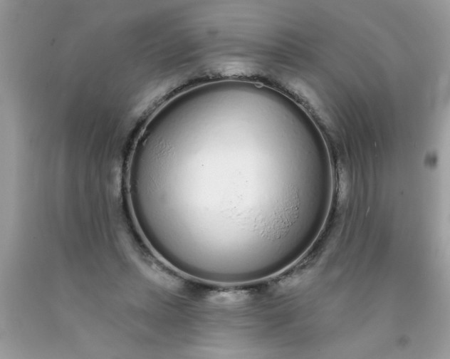 X0000090500447200707280005