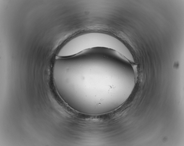 X0000090500448200707280005