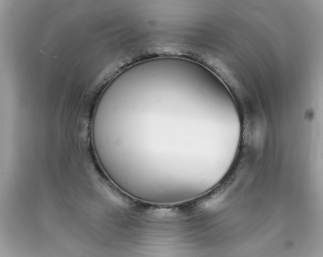 X0000090500449200707280005