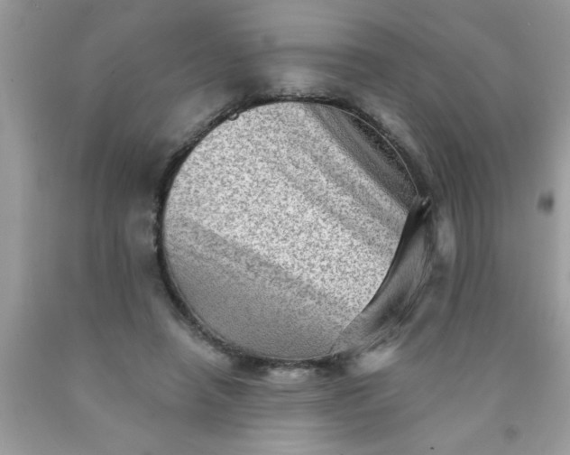 X0000090500450200707280005