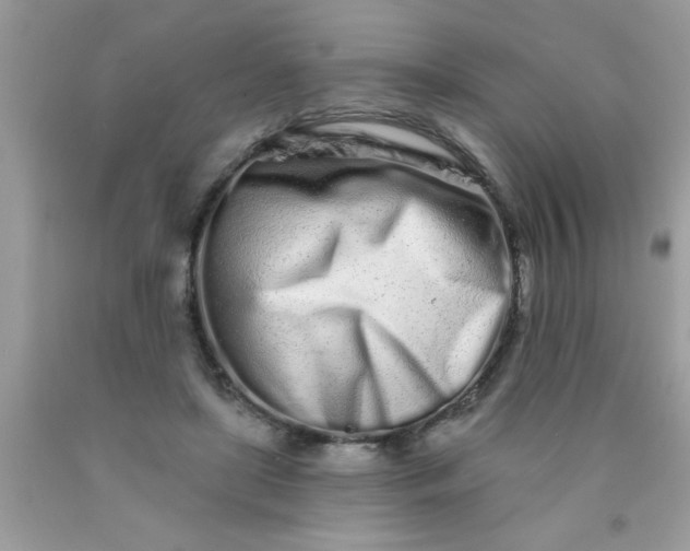 X0000090500451200707280005