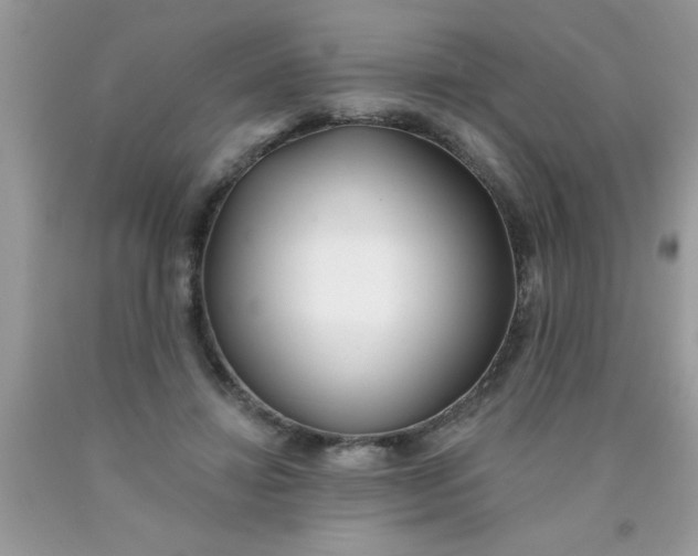 X0000090500452200707280005