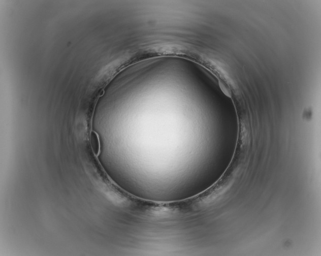 X0000090500453200707280005