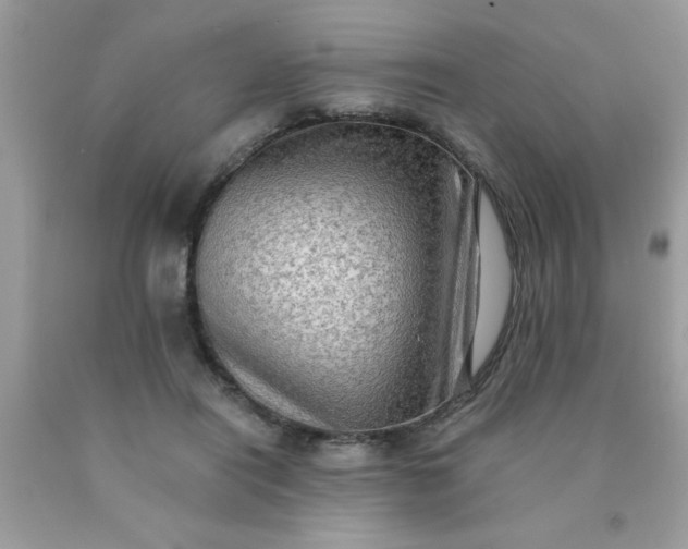 X0000090500454200707280005