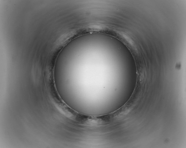 X0000090500455200707280005