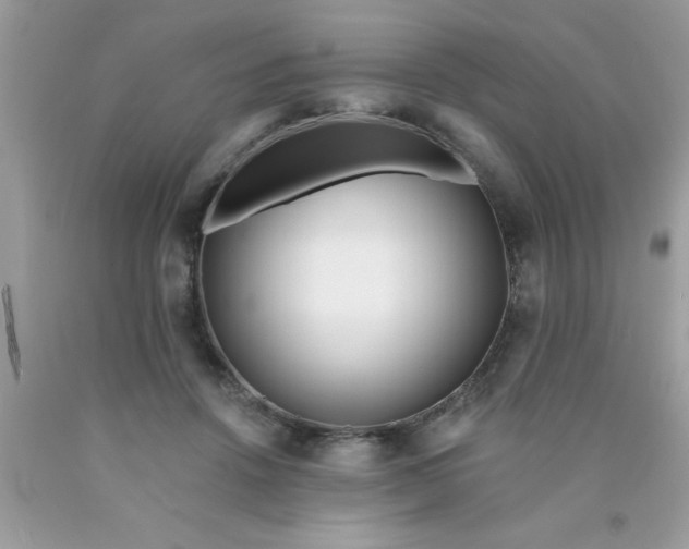 X0000090500456200707280005