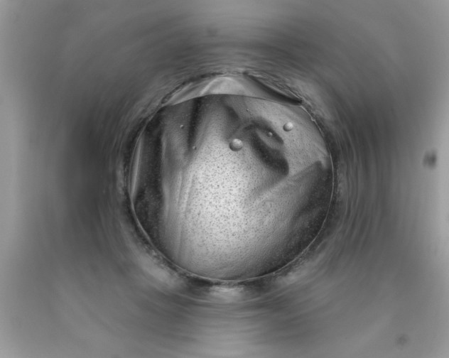 X0000090500457200707280005