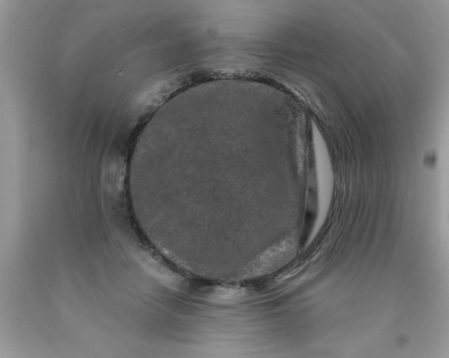 X0000090500458200707280005