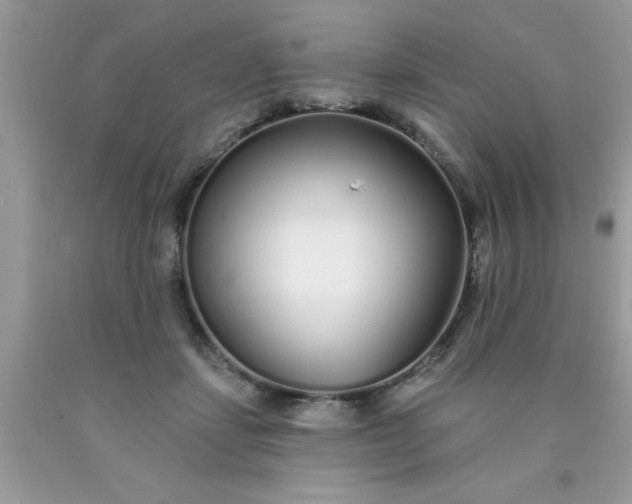 X0000090500459200707280005