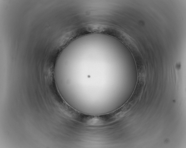 X0000090500460200707280005