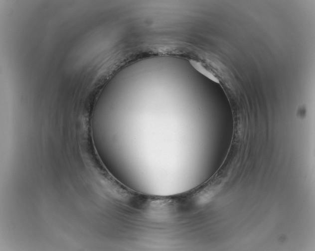 X0000090500461200707280005