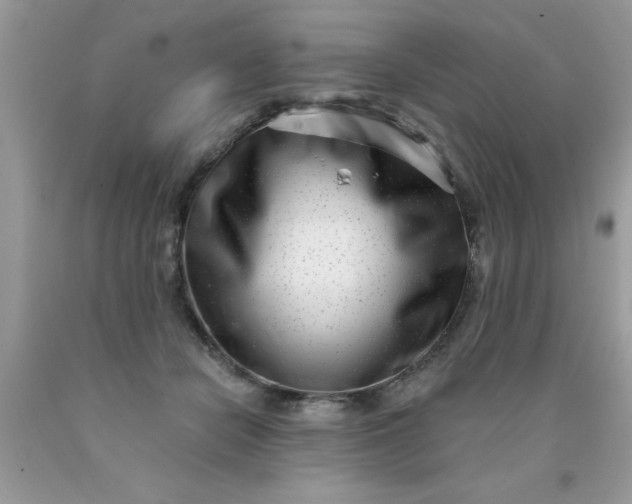 X0000090500462200707280005