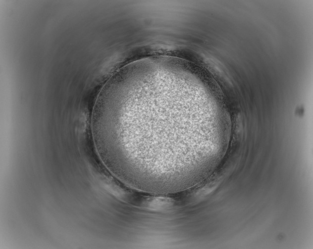 X0000090500463200707280005