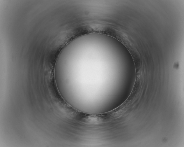 X0000090500464200707280005