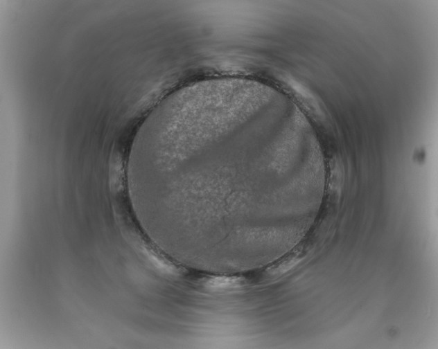 X0000090500465200707280005