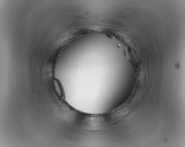 X0000090500466200707280005