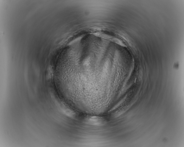 X0000090500467200707280005