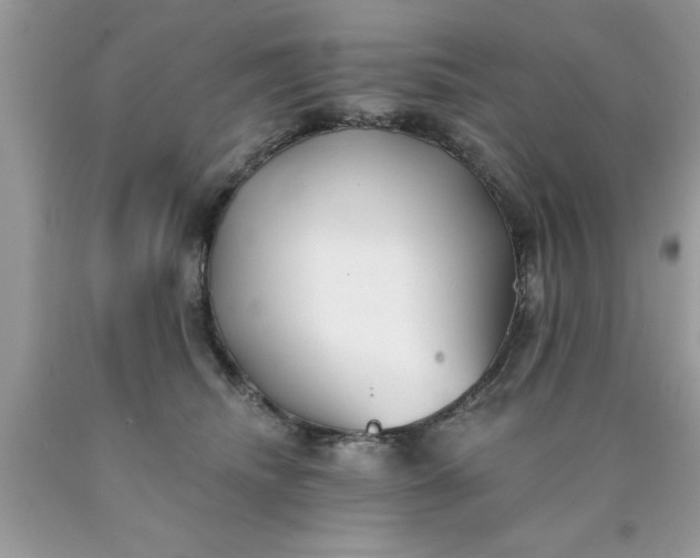 X0000090500468200707280005