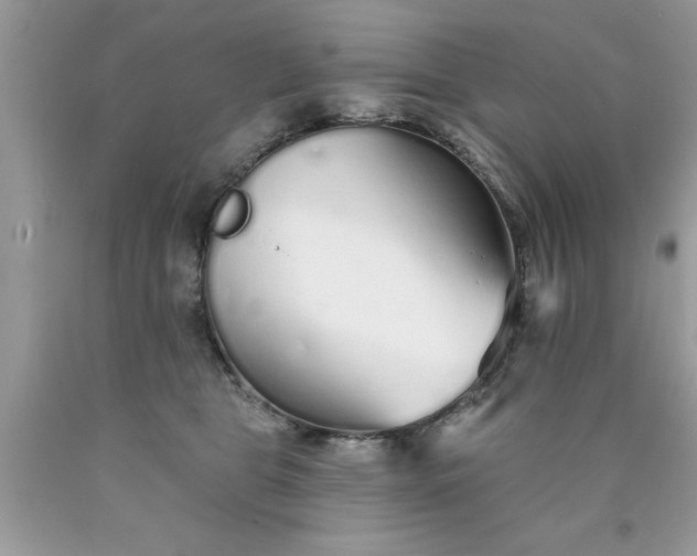 X0000090500469200707280005