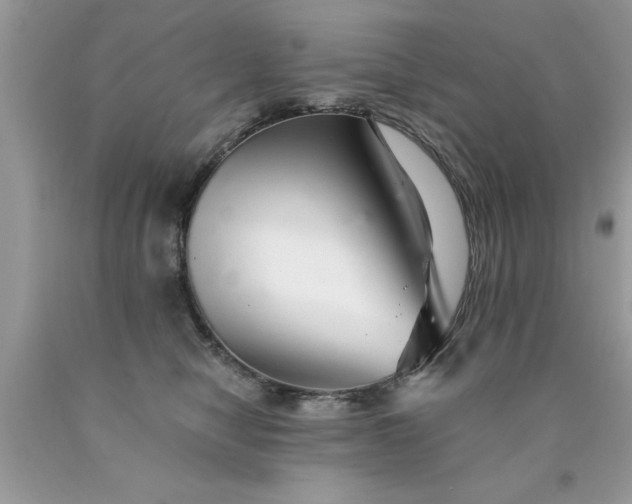 X0000090500470200707280005