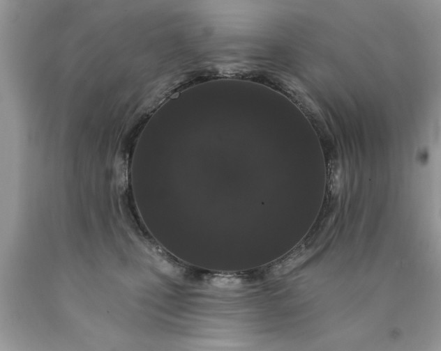 X0000090500471200707280005