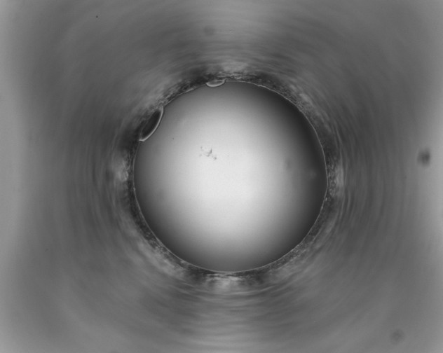 X0000090500472200707280005