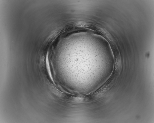 X0000090500473200707280005