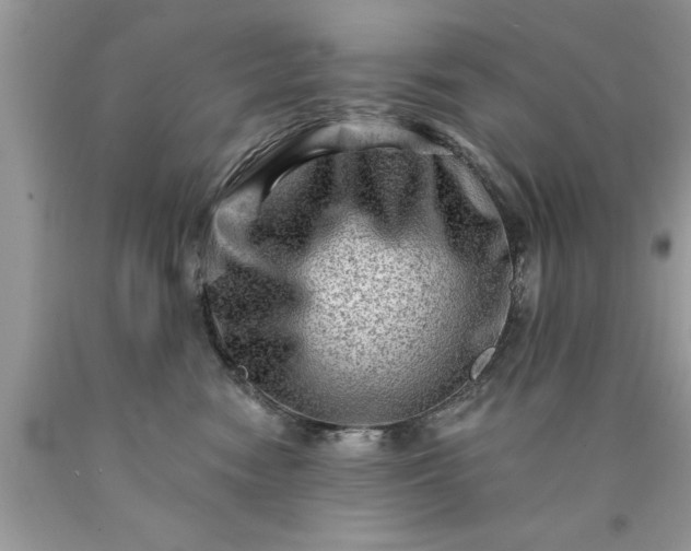 X0000090500474200707280005