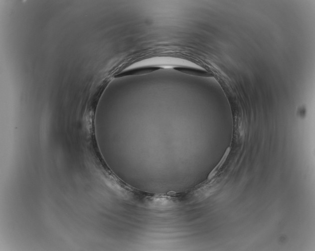 X0000090500475200707280005