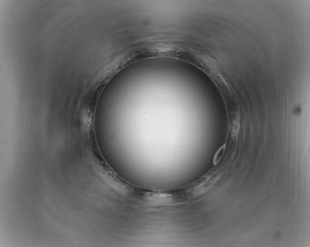 X0000090500476200707280005