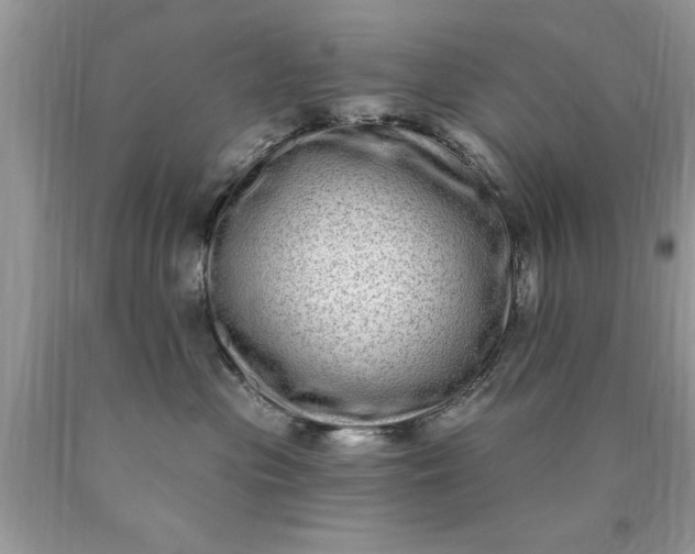 X0000090500477200707280005