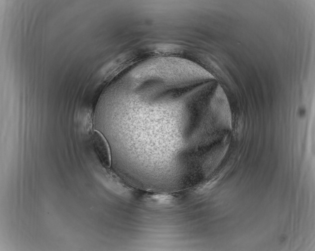 X0000090500478200707280005