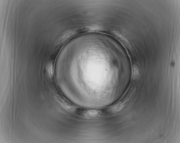 X0000090500479200707280005