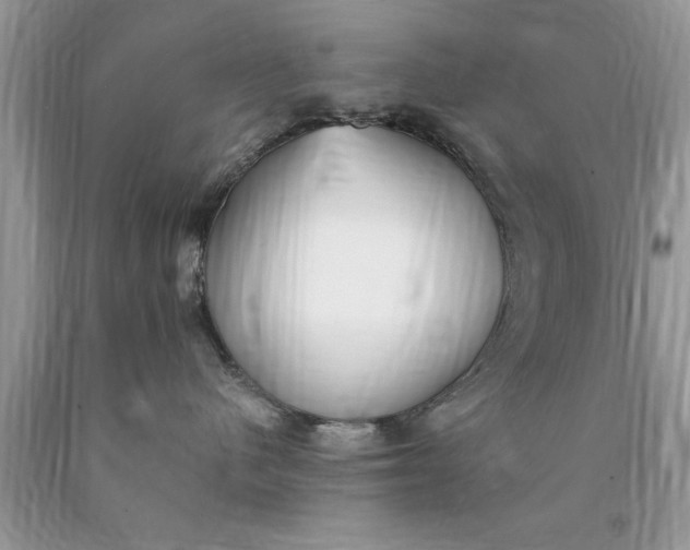 X0000090500480200707280005