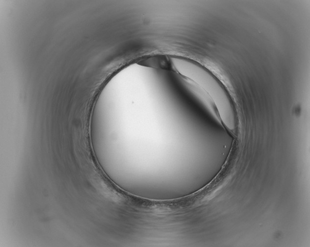 X0000090500481200707280004