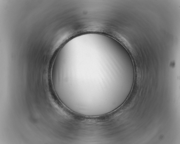 X0000090500482200707280004