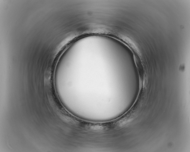 X0000090500483200707280004