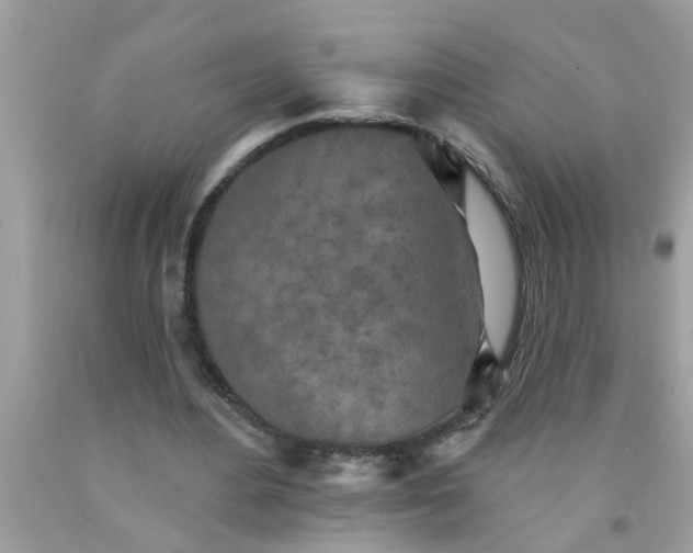 X0000090500484200707280004